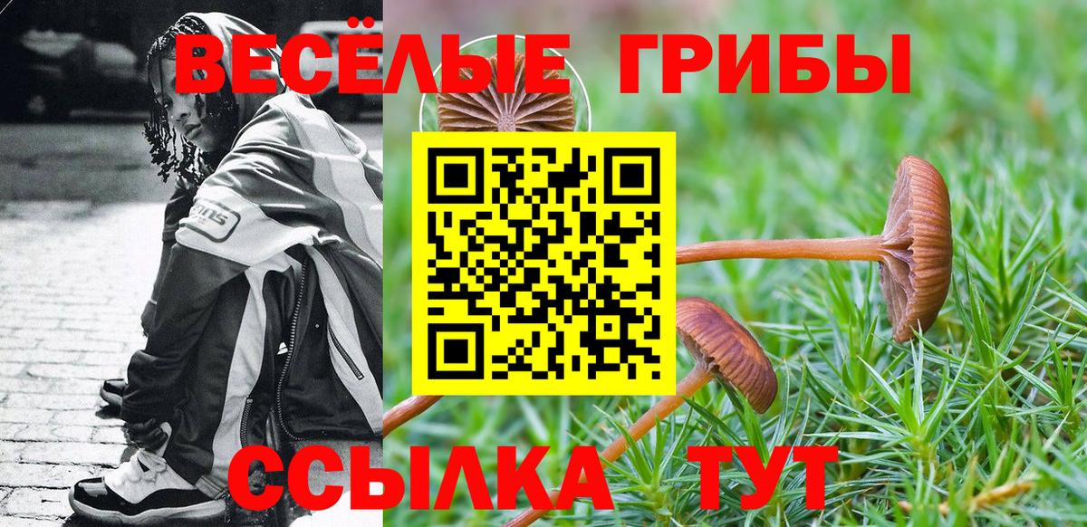 Галлюциногенные грибы Magic Shrooms Таганрог