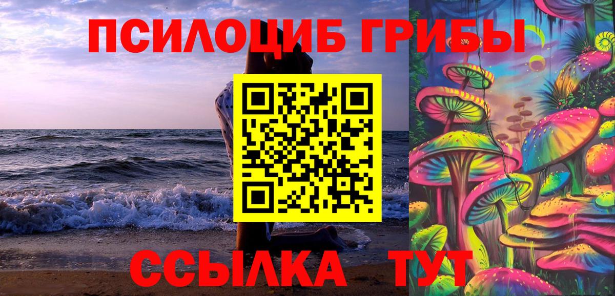Псилоцибиновые грибы мухоморы  купить   Таганрог  Вход с VPN 